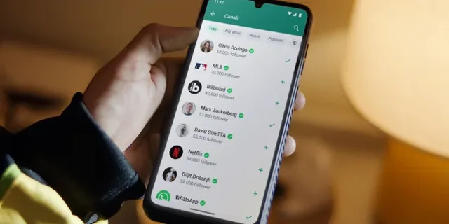 10 vite burg nëse futesh te WhatsApp i dikujt!