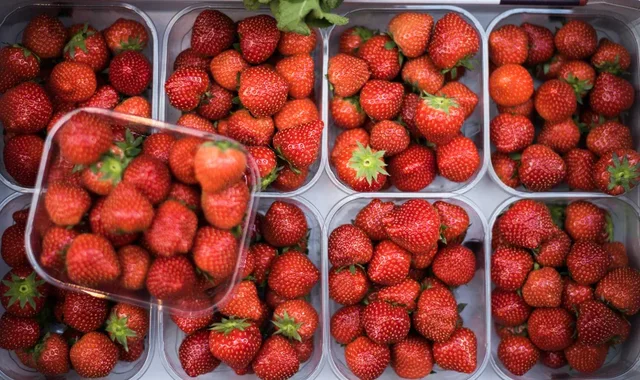 Eksperimenti amerikan: 90% e frutave dhe perimeve me pesticide të