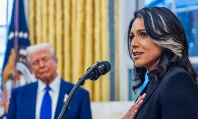 Trump thotë se drejtoresha e tij e Inteligjencës, Tulsi Gabbard, gabon