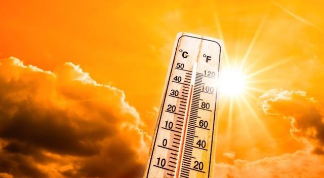Temperatura deri në 37 gradë Celsius, parashikimi i motit për