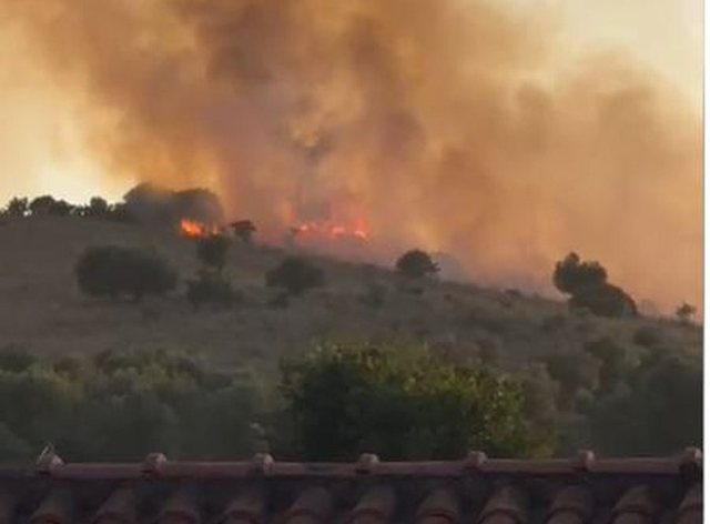 Panik në Ksamil, zjarri afrohet te hotelet