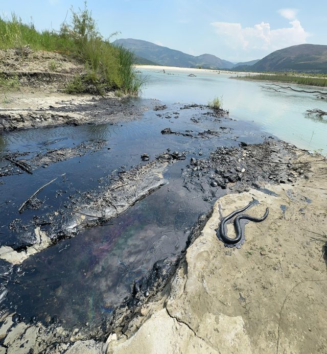 Albpetrol derdh naftë në Vjosë. Rrezikohet lumi i fundit i