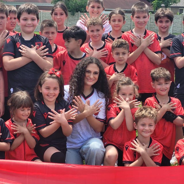 Vatra Çikago, shoqata që bashkon shqiptarët në një