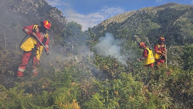 Zjarret në vend/ Ministria e Mbrojtjes: 21 vatra gjatë 24 orëve,