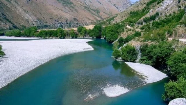 Tragjedi në Elbasan, dy vëllezër 8 dhe 10 vjeç mbyten