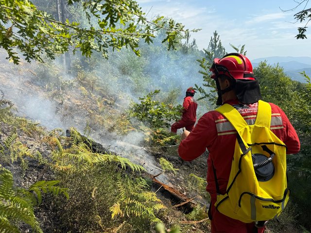 Niveli i rrezikut të zjarreve i lartë.  21 vatra zjarri gjatë 24