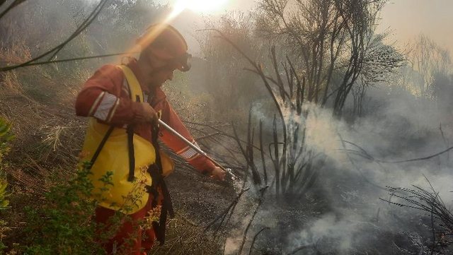 Zjarri në malin e Dukatit përhapet drejt Llogarasë, në