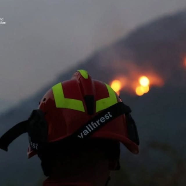 Situata nga zjarret, Agjencia për Media dhe Informim: 247 efektivë