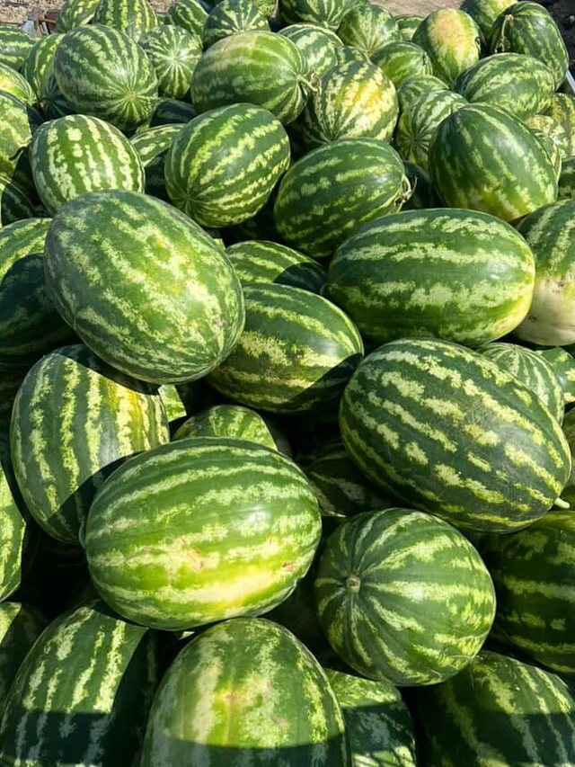 Alarm për shalqirin/ Erion Braçe: Blijeni tani të