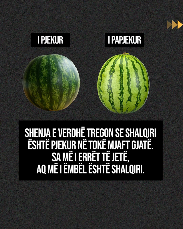 Si të zgjidhni një shalqi të bërë mirë!