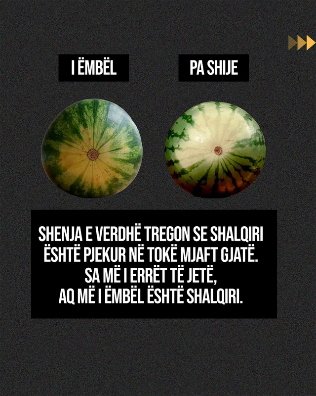 Si të zgjidhni një shalqi të bërë mirë!