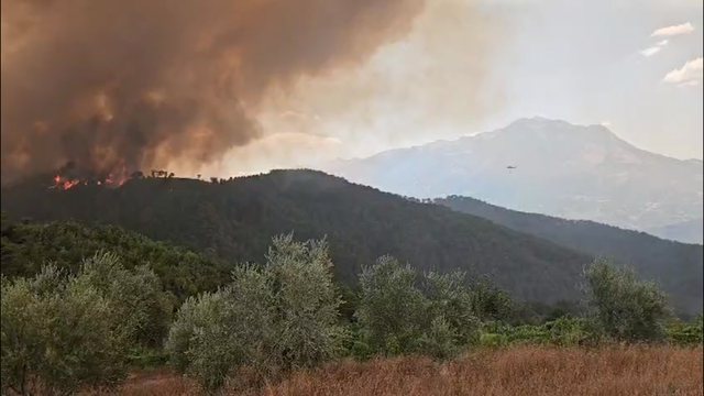 Zjarret në Poliçan/ Ministria e Mbrojtjes: Largohuni