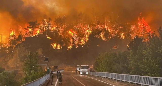 Gjendje emergjence në Evropë. Zjarret po bëjnë
