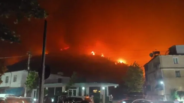 Nga Gramshi në Delvinë, Shqipëria në betejë me