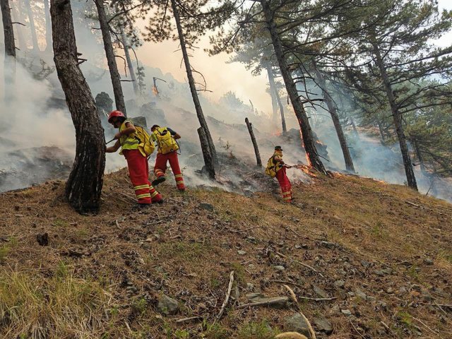 3 vatra aktive në Berat, izolohet zjarri në Parkun Kombëtar