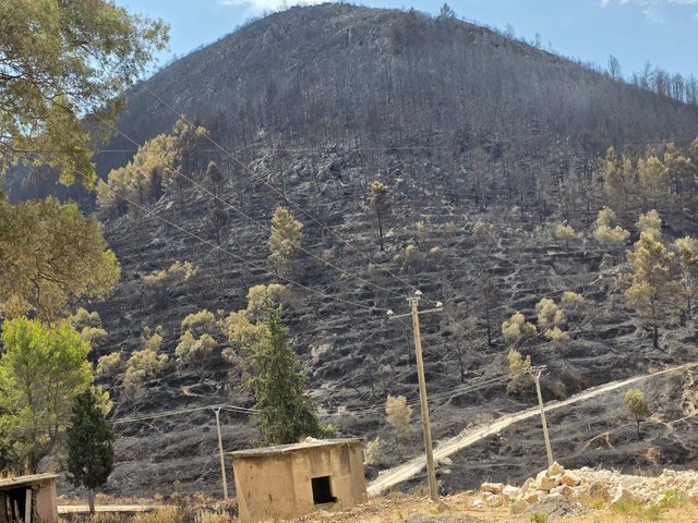 Fotoreportazh/ Një kujtesë për Delvinën që nuk u dogj