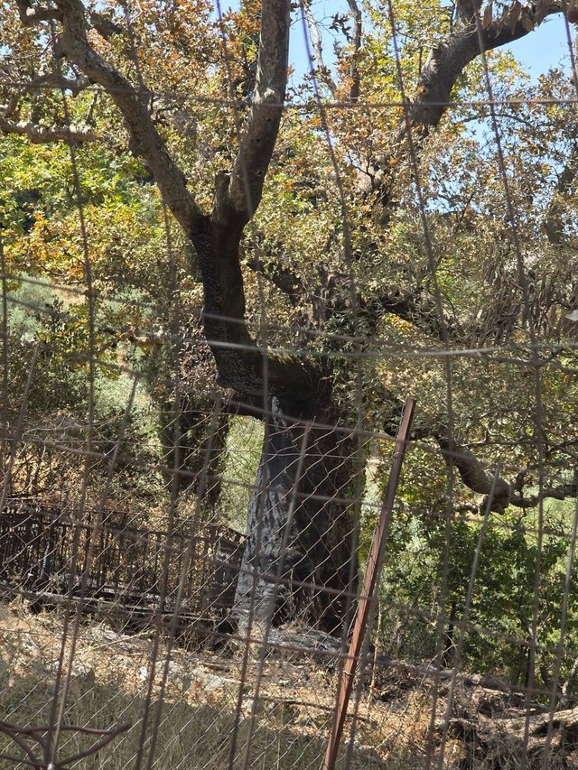 Fotoreportazh/ Një kujtesë për Delvinën që nuk u dogj