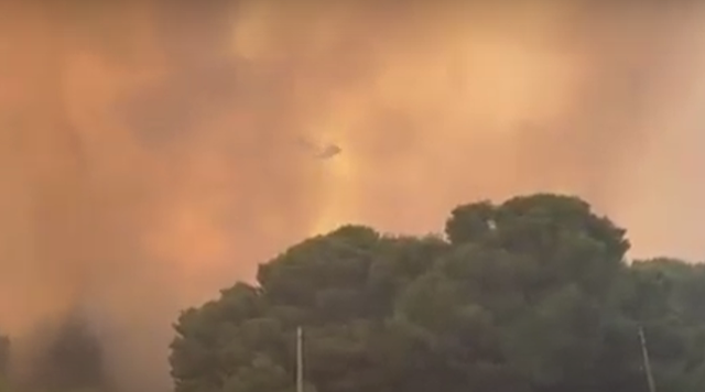 Pamje apokaliptike nga Vlora, helikopteri lufton me flakët në pyllin e