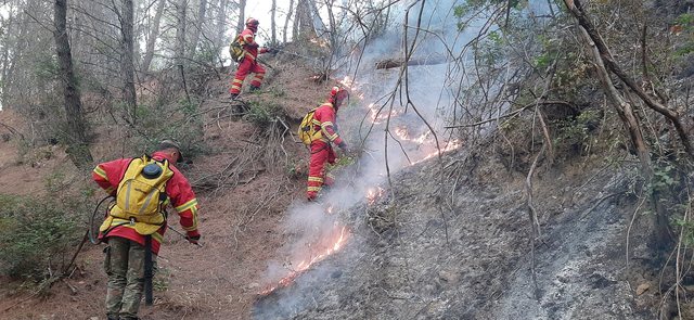 Rama: 100 misione nga ajri, qindra ndërhyrje në terren. Shteti nuk u