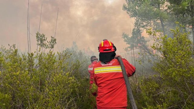 Qeveria shpërblen me 1 deri në 3 paga punonjësit që luftuan