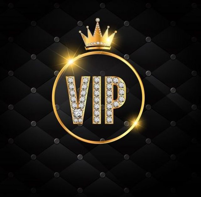 Roli i VIP-ave: Frymëzim apo dukje?