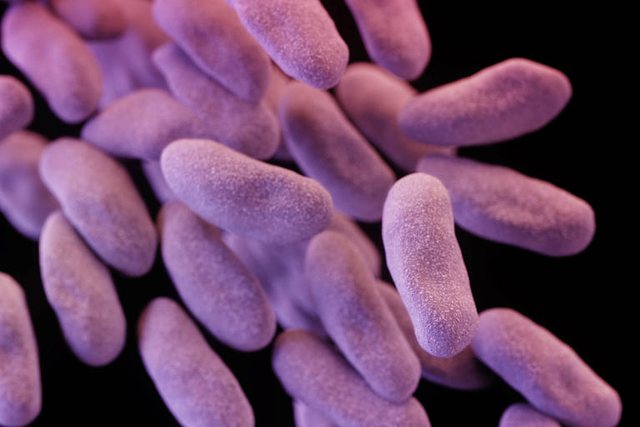 CDC: Bakteret e rrezikshme po sfidojnë edhe antibiotikët më