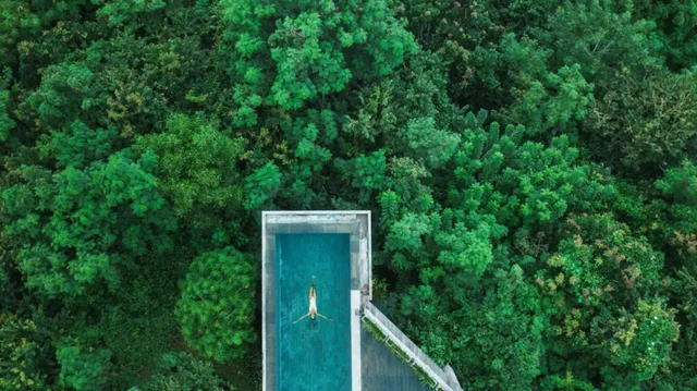 Instagram vs Realiteti! Bali po bëhet viktimë e suksesit të vet