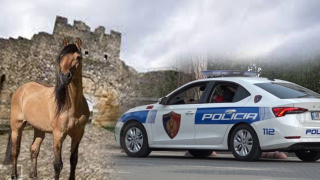 Shqipëria dhe vlera e jetës/ Ngjarjet që na tronditën dhe