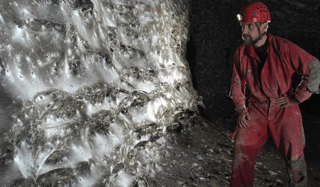 Zbulohet rrjeta më e madhe e merimangës në botë në