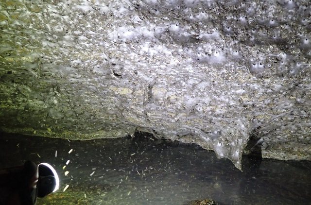 Zbulohet në kufirin Shqipëri–Greqi rrjeta më e madhe e