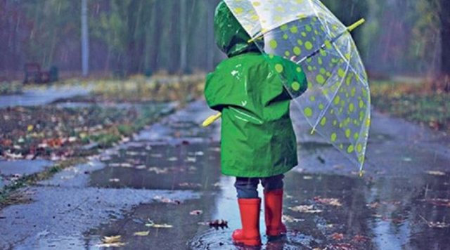 Mos harroni çadrat! Sot reshje shiu dhe shtrëngata!