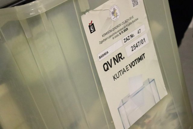 Ja si do të funksionojë numërimi i votave në Tepelenë