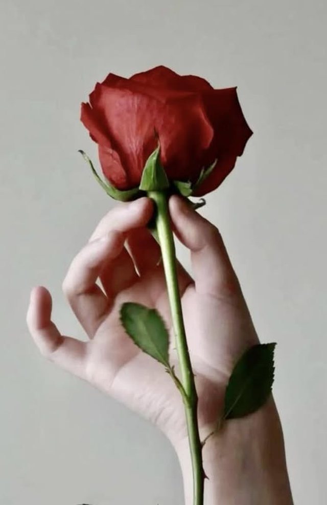 Fitorja e thellë, Rama: Rezultate kuptimplota, opozita shumë e