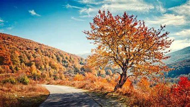 Si do të jetë moti sot!