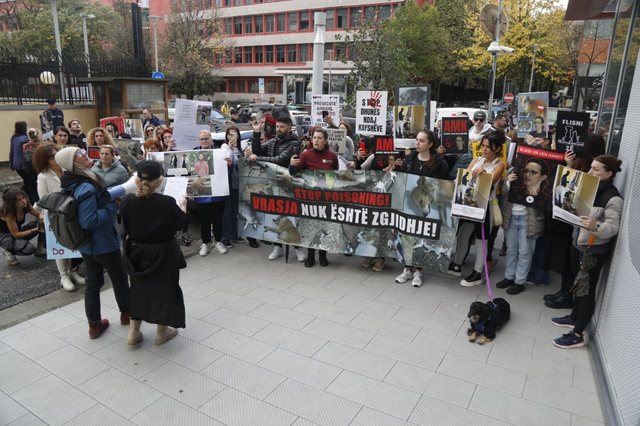 Protestë për kafshët në Tiranë: Mjaft i vratë!