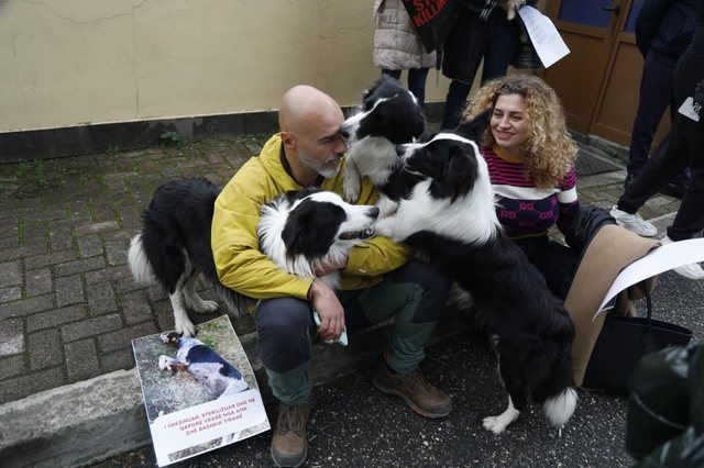 Protestë për kafshët në Tiranë: Mjaft i vratë!