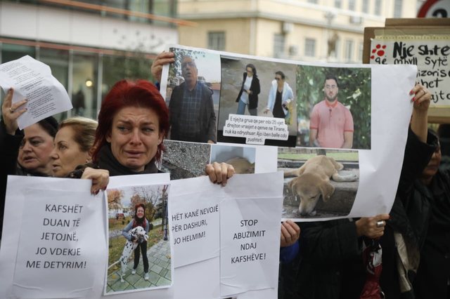 Protestë për kafshët në Tiranë: Mjaft i vratë!