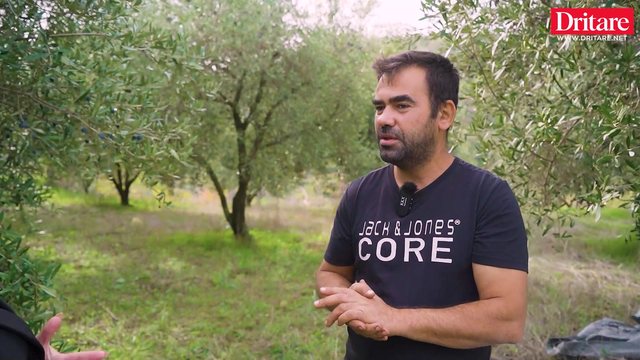 Oltioni, nga Roma te vaji i ullirit në Roshnik