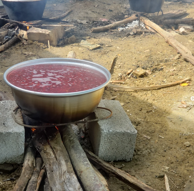 Rehania e thanës, thesari i vogël që ruan kujtesën e trojeve
