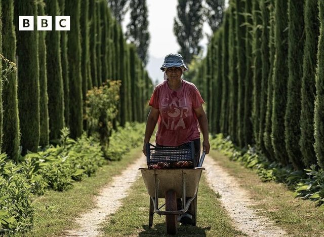 BBC: Si po ringjallet kuzhina shqiptare falë gjysheve