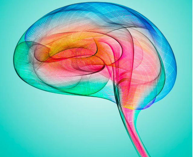 Si ta mbash trurin e shëndetshëm!