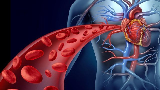 Ateroskleroza, armiku i padukshëm! Flet kardiologu
