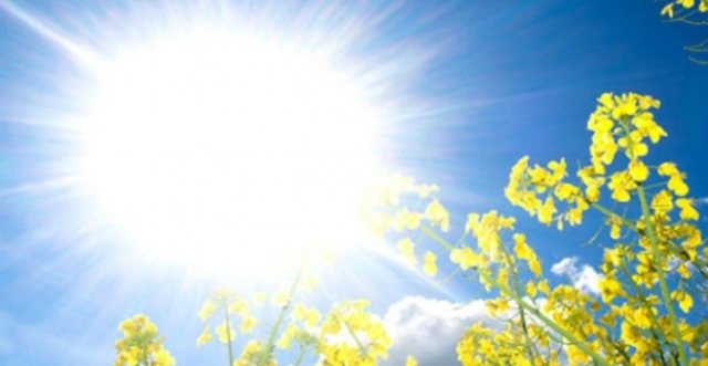 Sot mot i kthjellët!