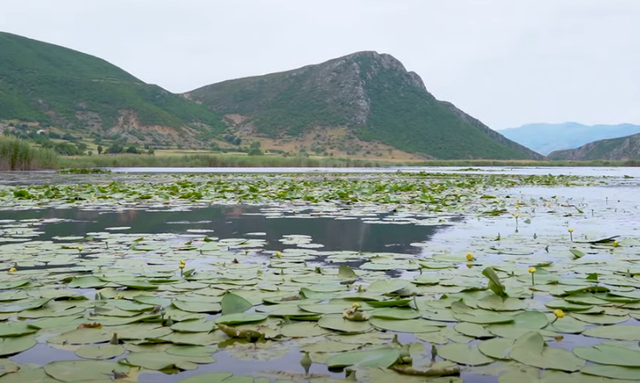 Prespa e Vog&euml;l, udh&euml;tim n&euml; zemr&euml;n e xhungl&euml;s shqiptare