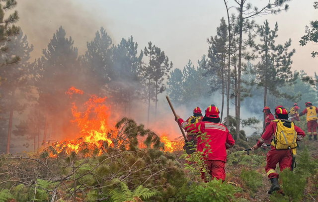 Nis kompensimi p&euml;r d&euml;met nga zjarret, 191.5 milion&euml; lek&euml;