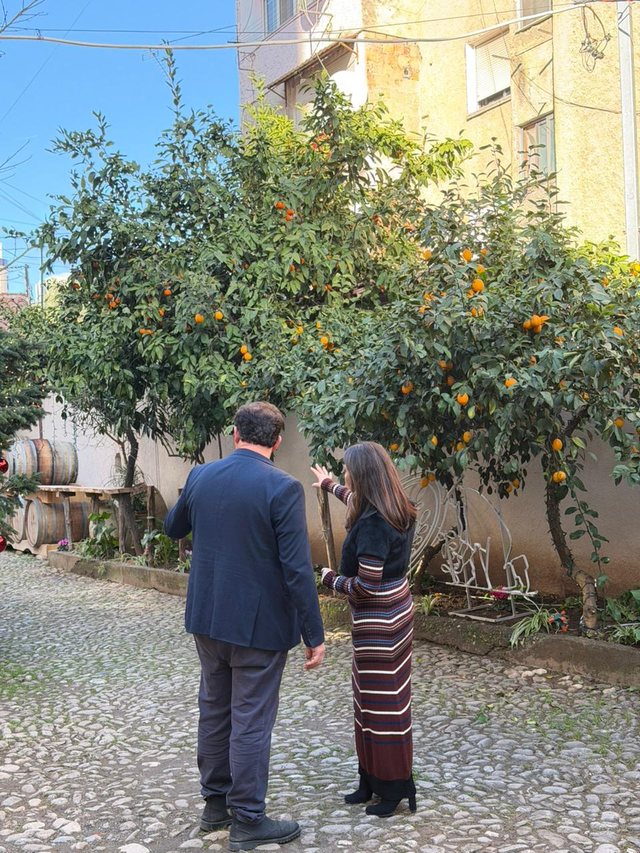 Ambasada e Shport&euml;s Shqip, hap dyert n&euml; Tiran&euml;. G&euml;zuar 2026!