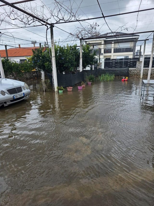 Kush &euml;sht&euml; fajtori?! Pjerin Ndreu akuzon