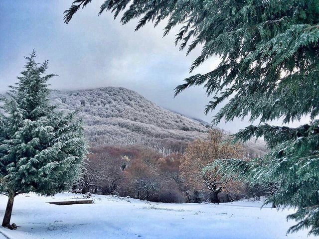 Temperaturat -8 gradë. Ja ku do të ketë dëborë sot!