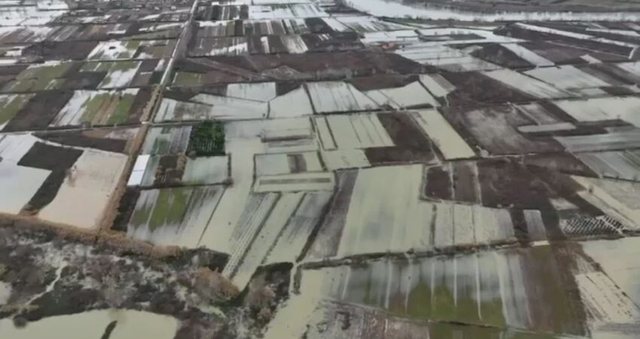 Paralajmërimi i inxhinierit: Ose hiqini shtëpitë në Obot,