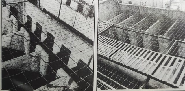 Ish-gardiani i 313 zbulon sekretet: Si u arratis&euml;n nga burgu 20 t&euml;